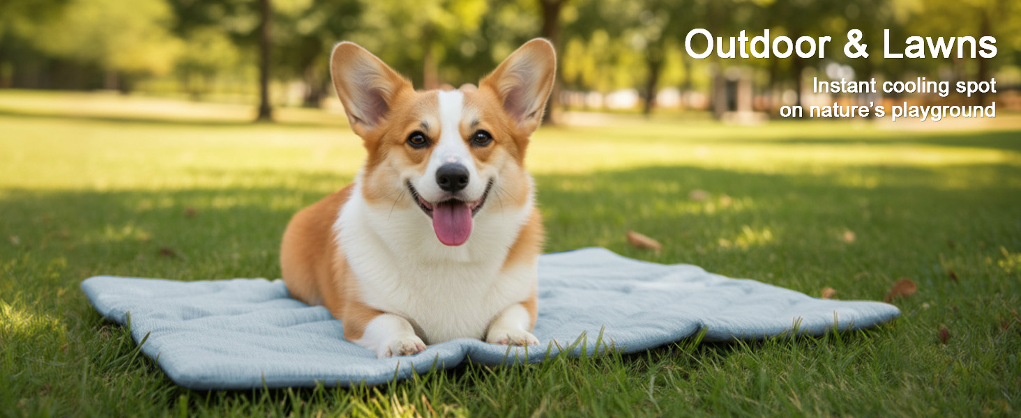 Outdoor & Lawns