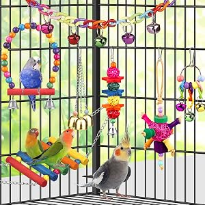 parrot toy