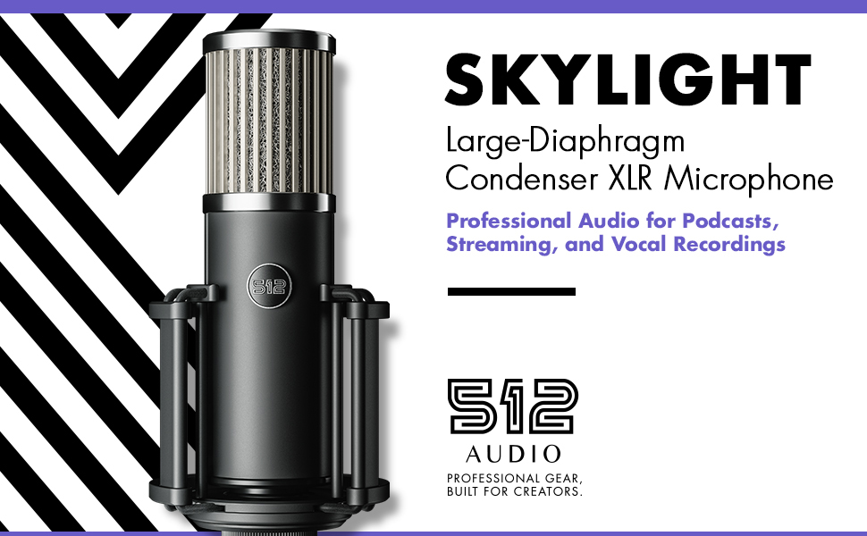 Skylight large-diaphragm Condenser XLR Microphone Professional Audio Equipment