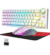 Wireless Gaming Keyboard and Mouse Combo,12 RGB Backlit Rechargeable 4000mAh Battery,Mechanical F...