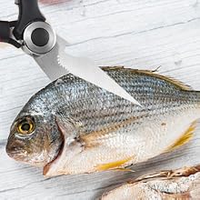 Scrape fish scales