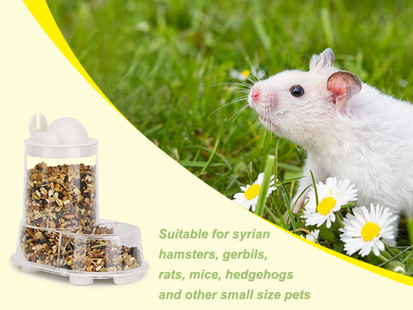 Hamster Feeder Food Bowl
