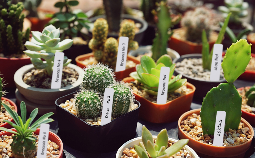 plastic plant labels