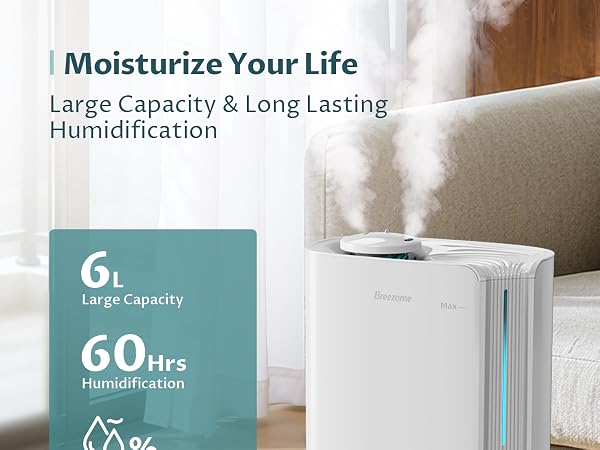 Humidifiers for Large Room