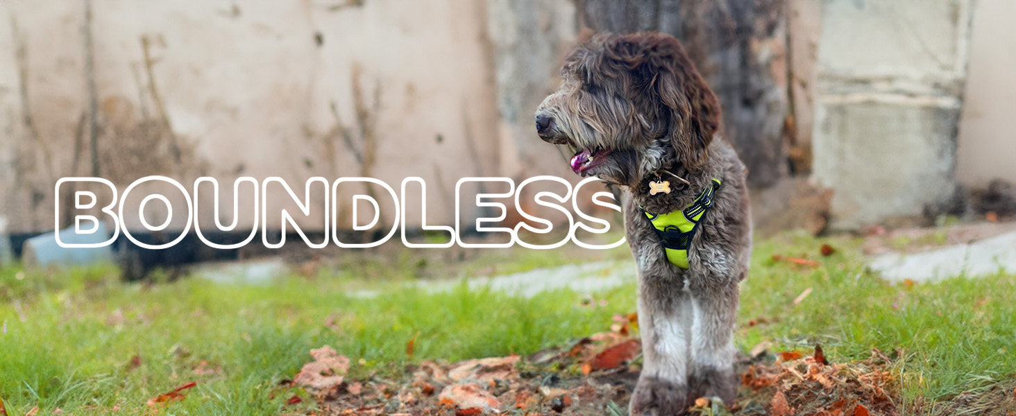 sporn no pull dog harness