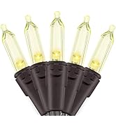 Outdoor String Lights Christmas 120V UL Certified 2Pack 35.3Ft 100LED Connectable Waterproof Indo...
