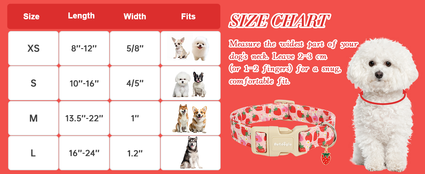 female girl dog collars