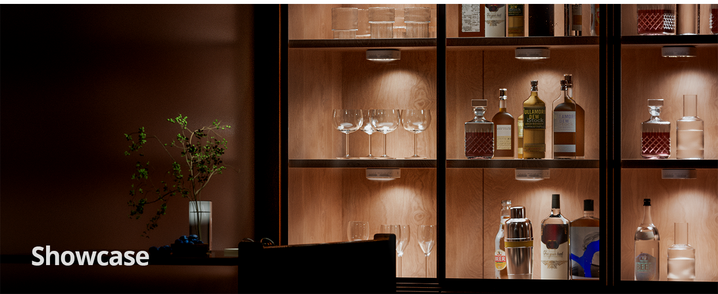 led closet light