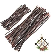 SHINEOFI 50Pcs Wood Log Sticks Natural Birch Twigs for Crafts 7.86in+11.79in Willow Branches for ...