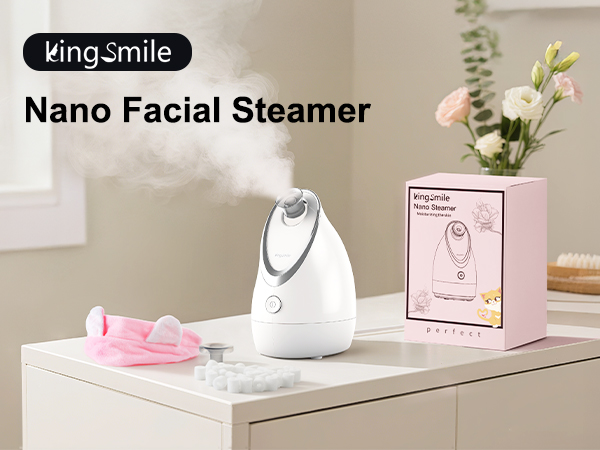 Kingsmile face steame