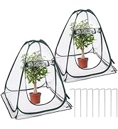 2 Pack Pop Up Greenhouse, Plant Tent with 8 Ground Nails & 2 Carry Bags, Roll-Up Door, Easy Foldi...