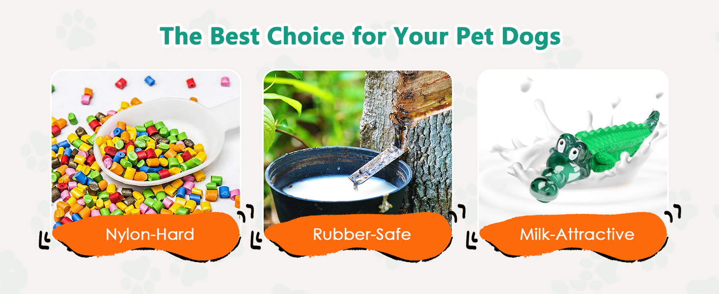 dog chew toys