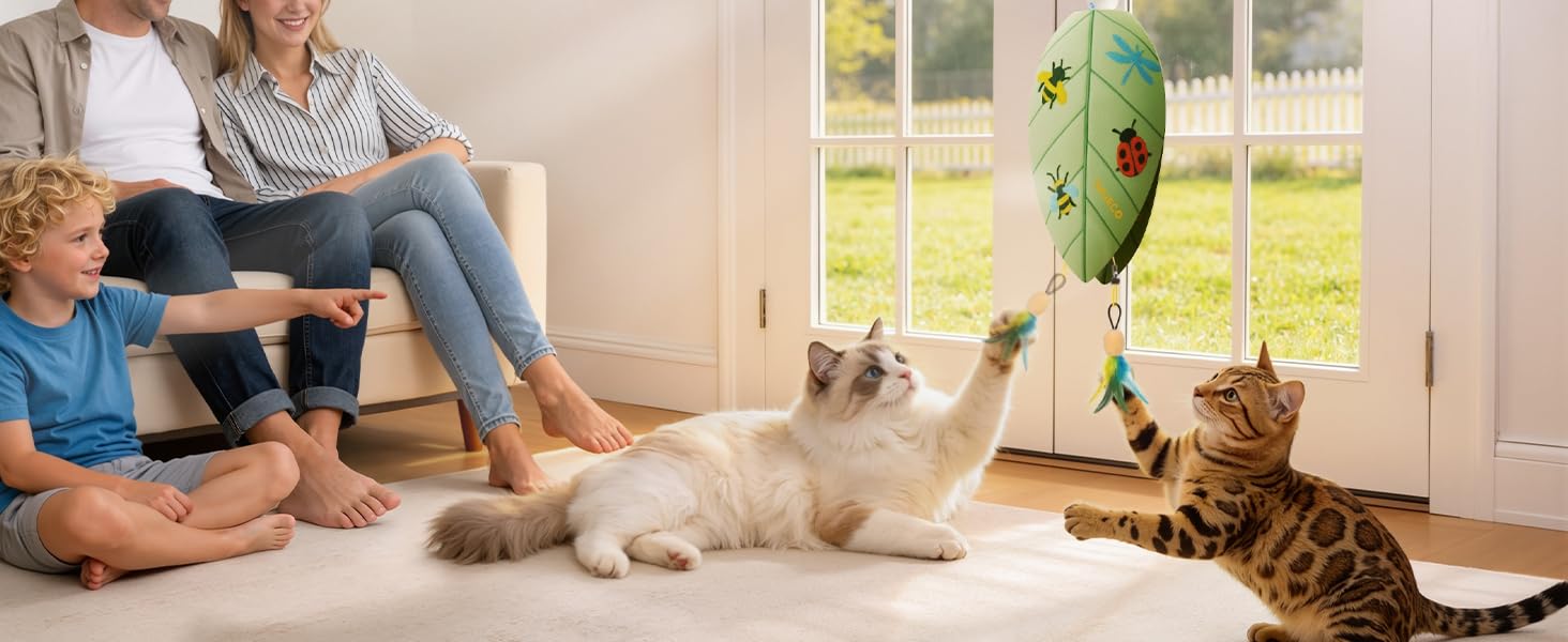 Door Hanging Cat Toy