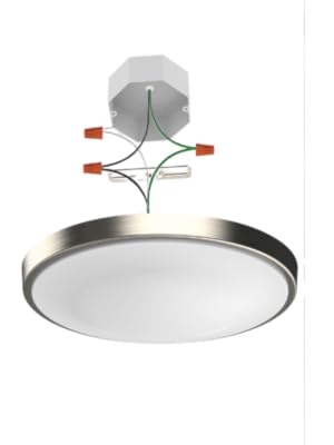 Ring junction box render