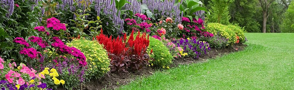 Flower Garden by Lawn