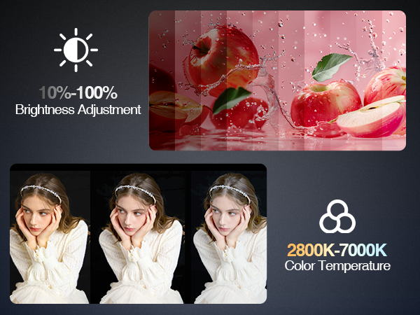 light with phone holder