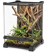 NEPTONION 8"x8"x12" Reptile Terrarium, Single-Door Glass Arboreal Vivarium for Small Arboreal Liz...
