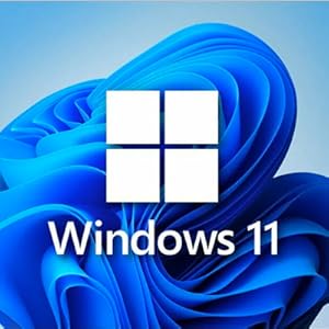 Win11