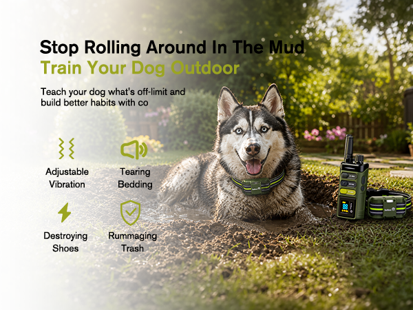 dog shock collars with remote control