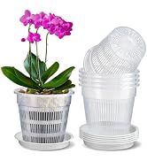 MYITYARD Orchid Pots with Holes, 6 Pack 6.3 Inch Large Plant Pot for Repotting, Clear Plastic Flo...