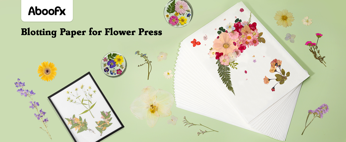 blotting paper
