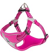 TRUE LOVE Dog Harness TLH5991 Anti Pull Safety Vest Step-in Style Harness for More Comfort and Le...