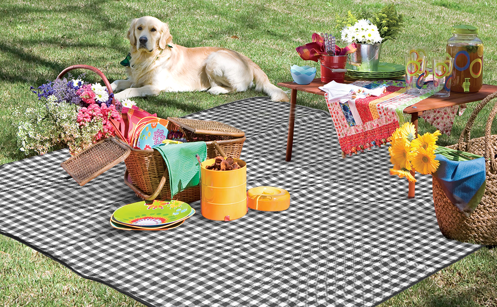 Extra Large Picnic Blanket