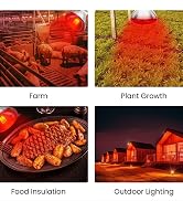 Heat Lamp Bulb