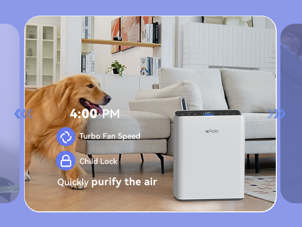 air purifiers for home large room