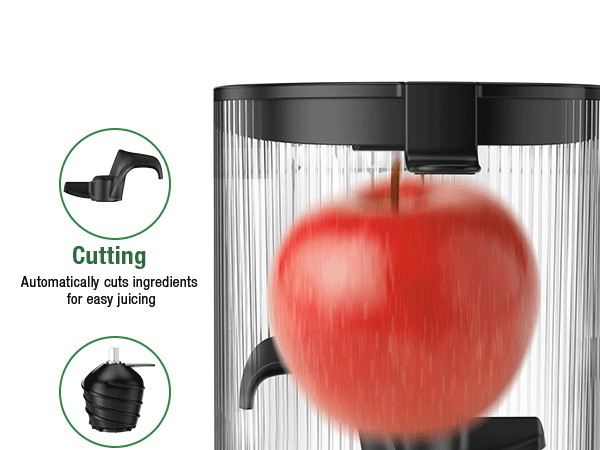 Cold Press Juicer with 5.3" Extra Large Feed Chute Fit Whole Fruits