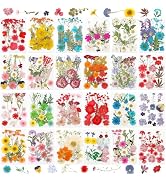 NESCCI 428 Pcs Dried Pressed Flowers for Resin,Real Nature Dried Flowers for Crafts Bulk Dry Flow...