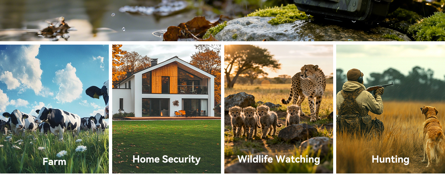 cell cameras for hunting