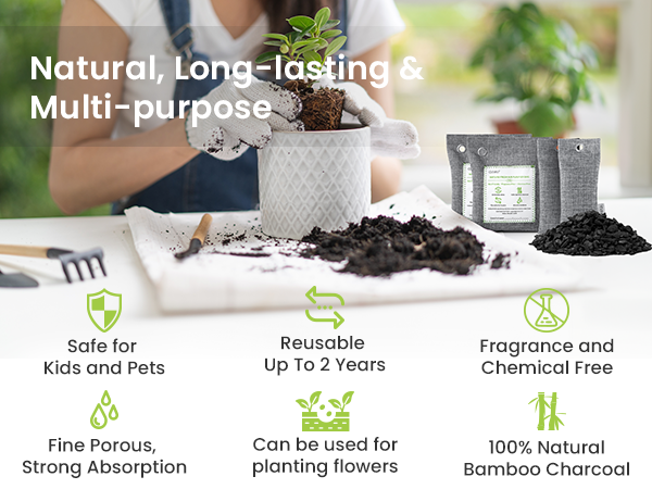 Reusable Activated Charcoal