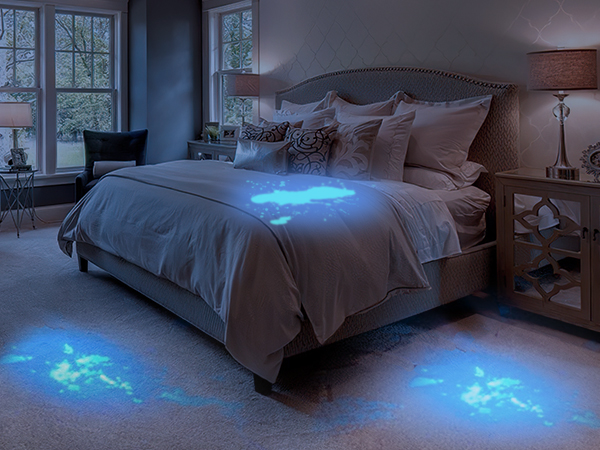 blacklight flashlight