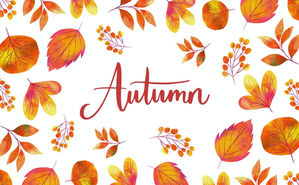 autumn cookie cutters
