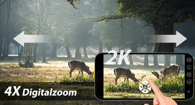 Smartphone camera interface showing 4X digital zoom feature, with deer in a misty forest scene as the subject.