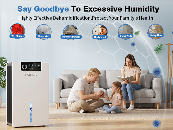 portable dehumidifiers