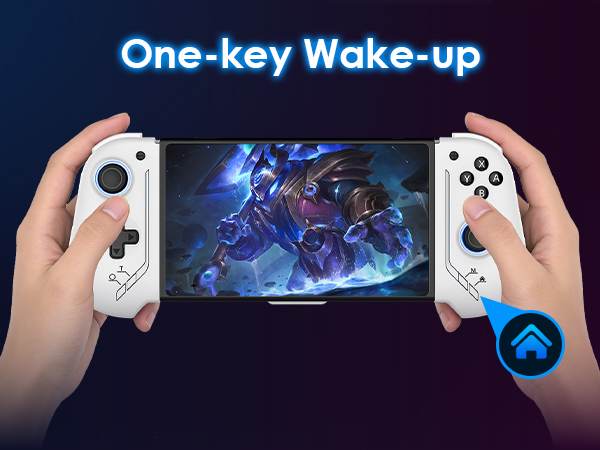 Switch Controller