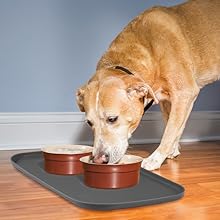 dog water mat