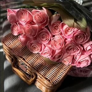 Decorative Prop Suitcase