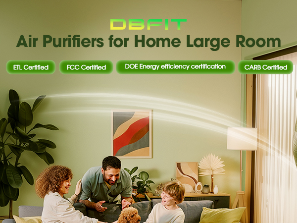 air purifiers for home large room