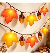 Fall Thanksgiving Decor - 8.5Ft LED Fall String Lights Plug in Orange Yellow Leaves Acorn Lights ...