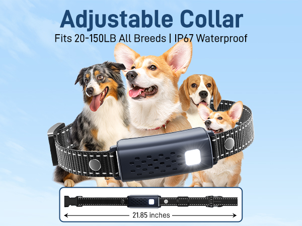 adjustable collar fits most dog