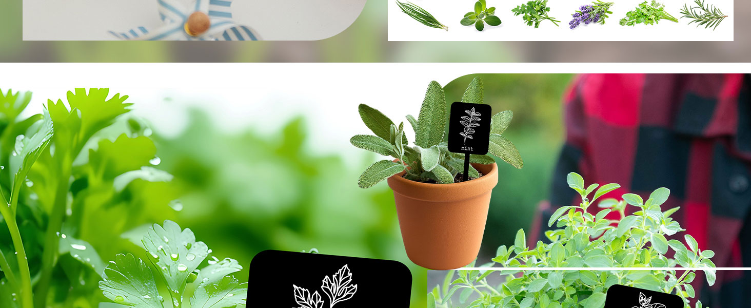 Acrylic Plant Label Signs