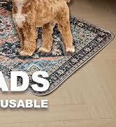 pee pads