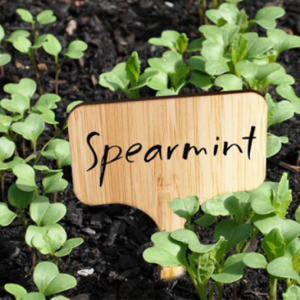 wooden plant markers