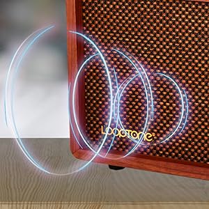 Built-in Speaker Radio