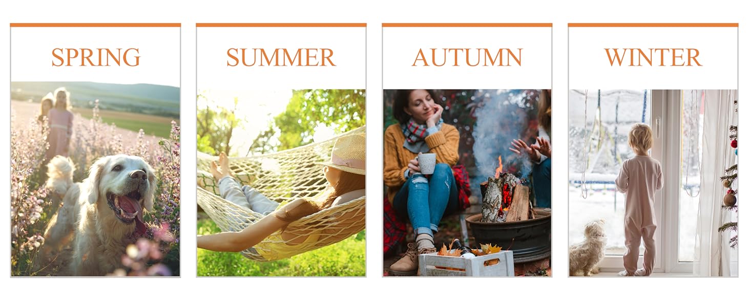 Four Seasons
