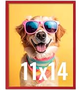 LaVie Home 11x14 Picture Frame for Wall Display, 11 x 14 Red Picture Frame with HD Plexiglas, 11 ...