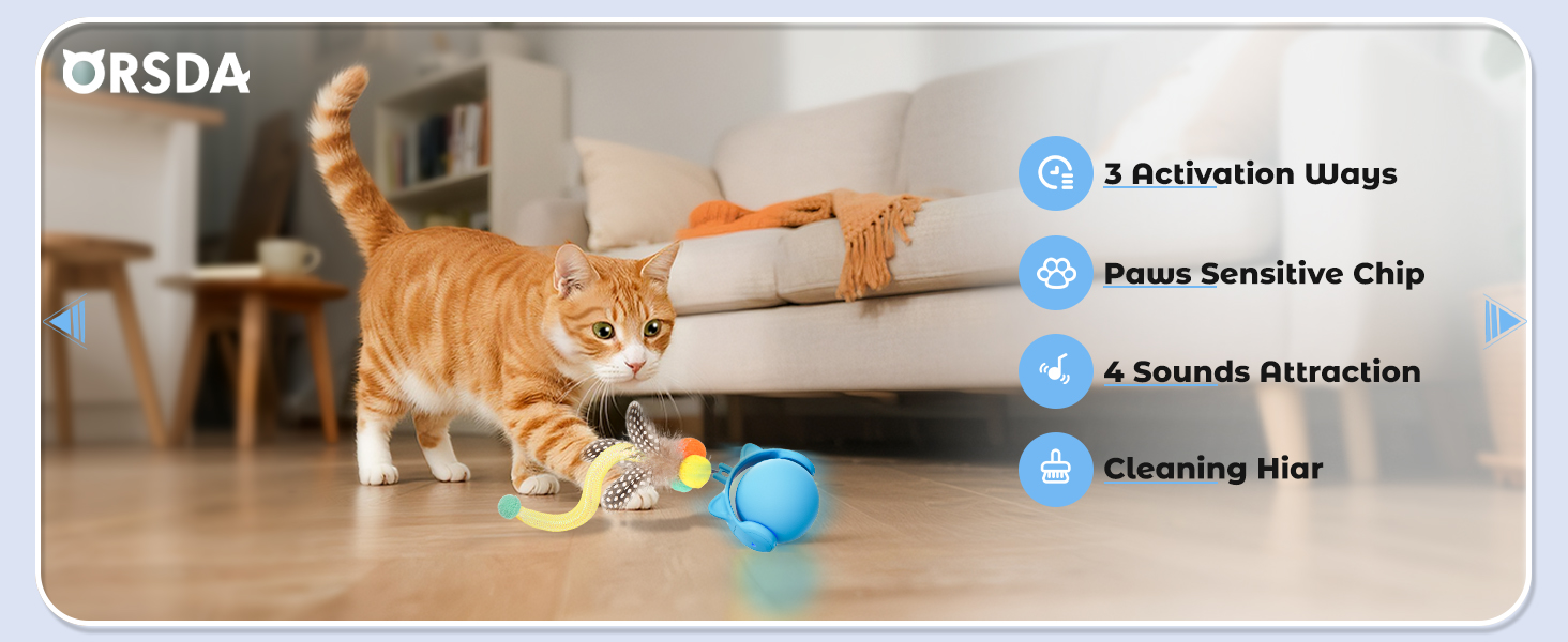 kitten toys